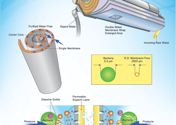 Bacteria and Reverse Osmosis