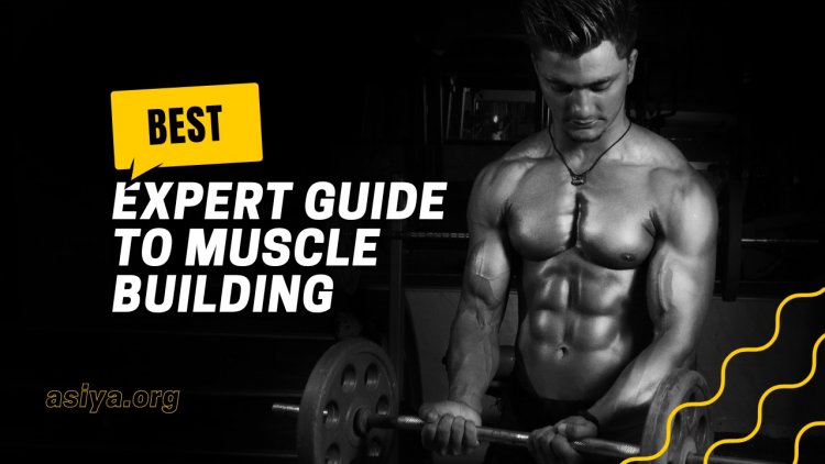 Expert Guide to Muscle Building