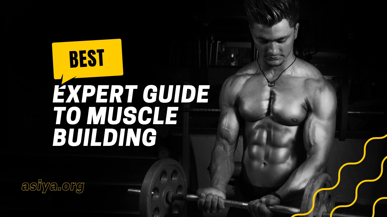 Expert Guide to Muscle Building