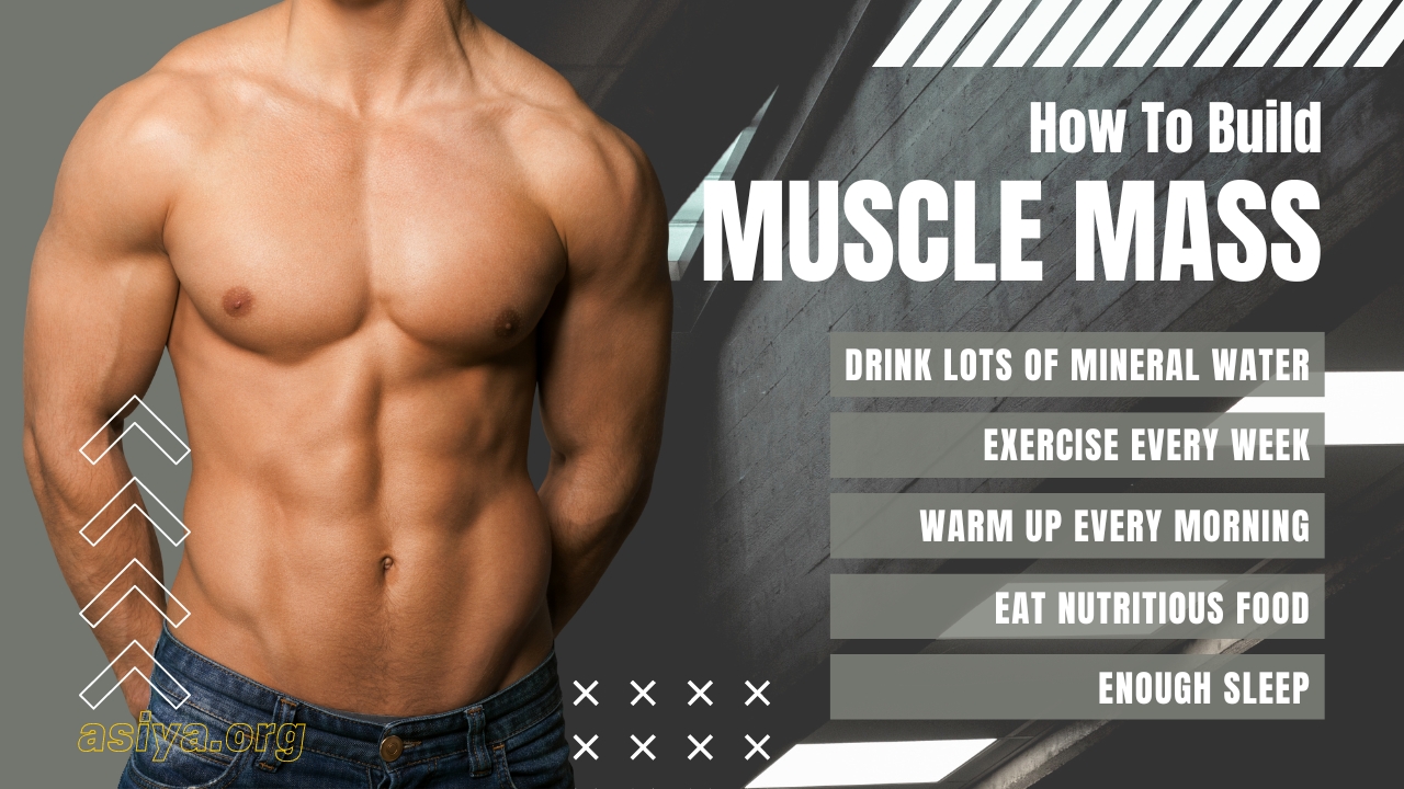 How To Build Muscle Mass