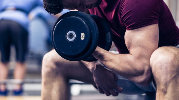 Tips for How to Build Muscle - Building Muscle Workouts